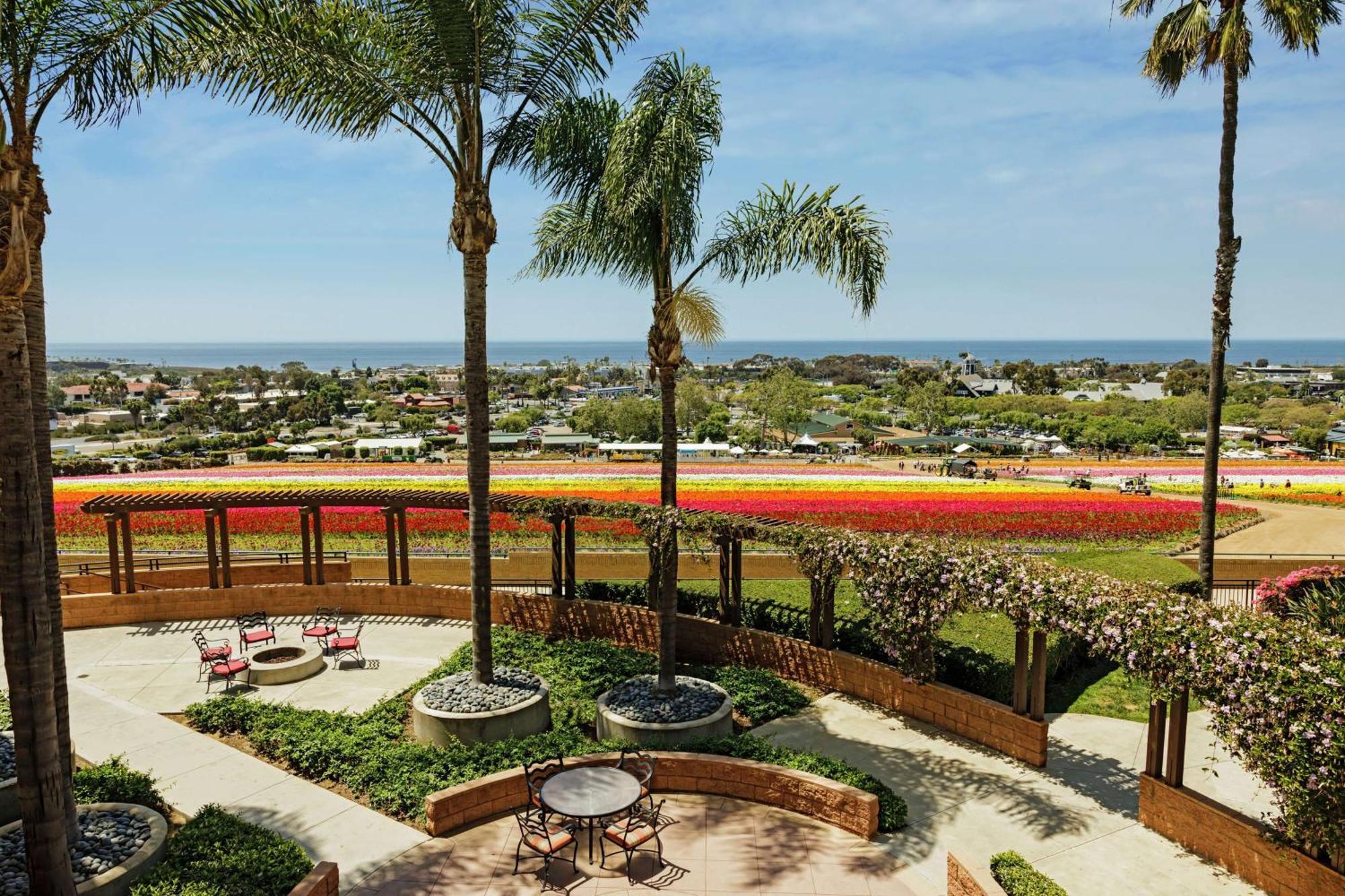 The Cassara Carlsbad, Tapestry Collection By Hilton Hotel Carlsbad