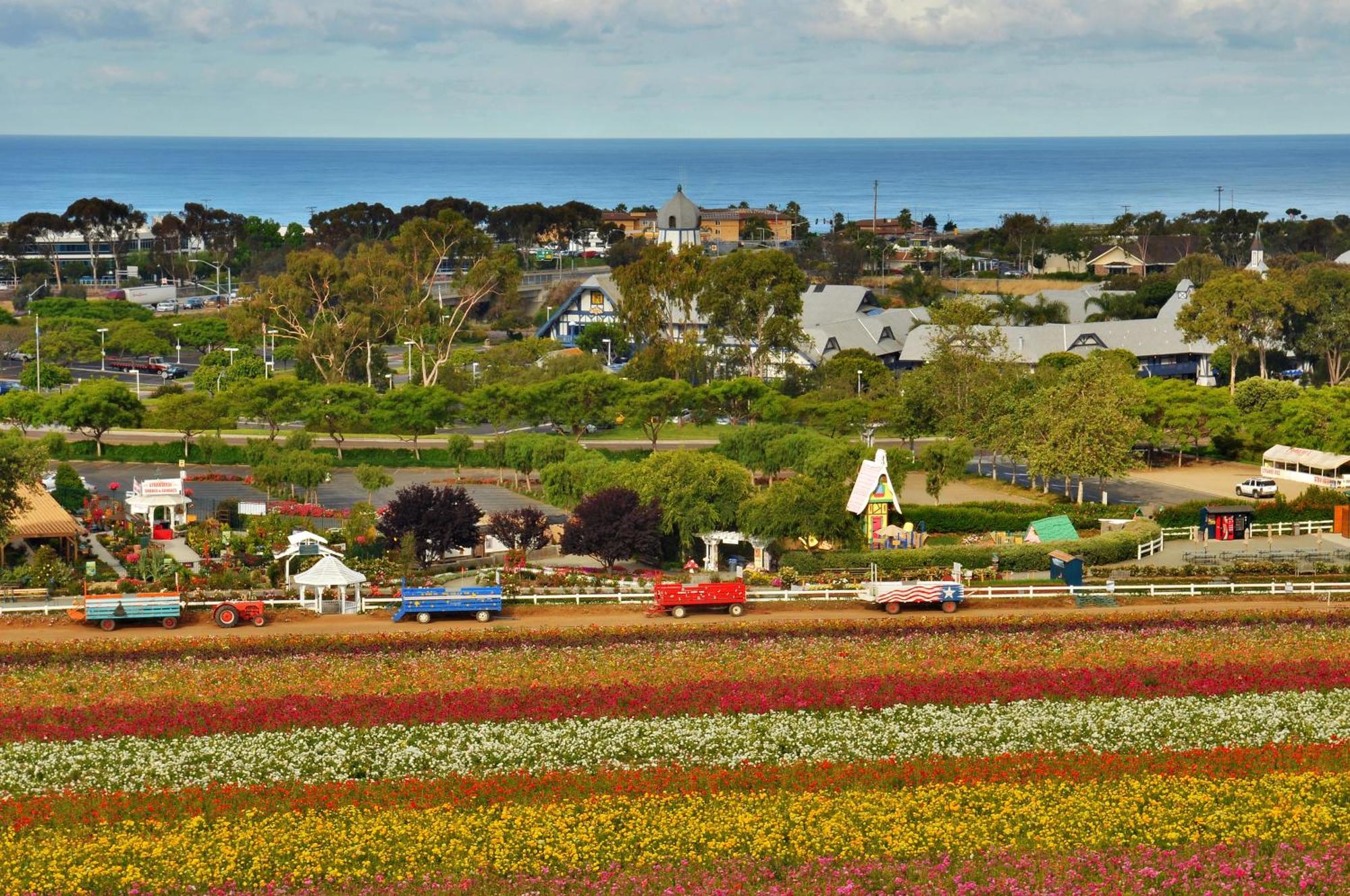 Resort Grand Pacific Palisades Carlsbad