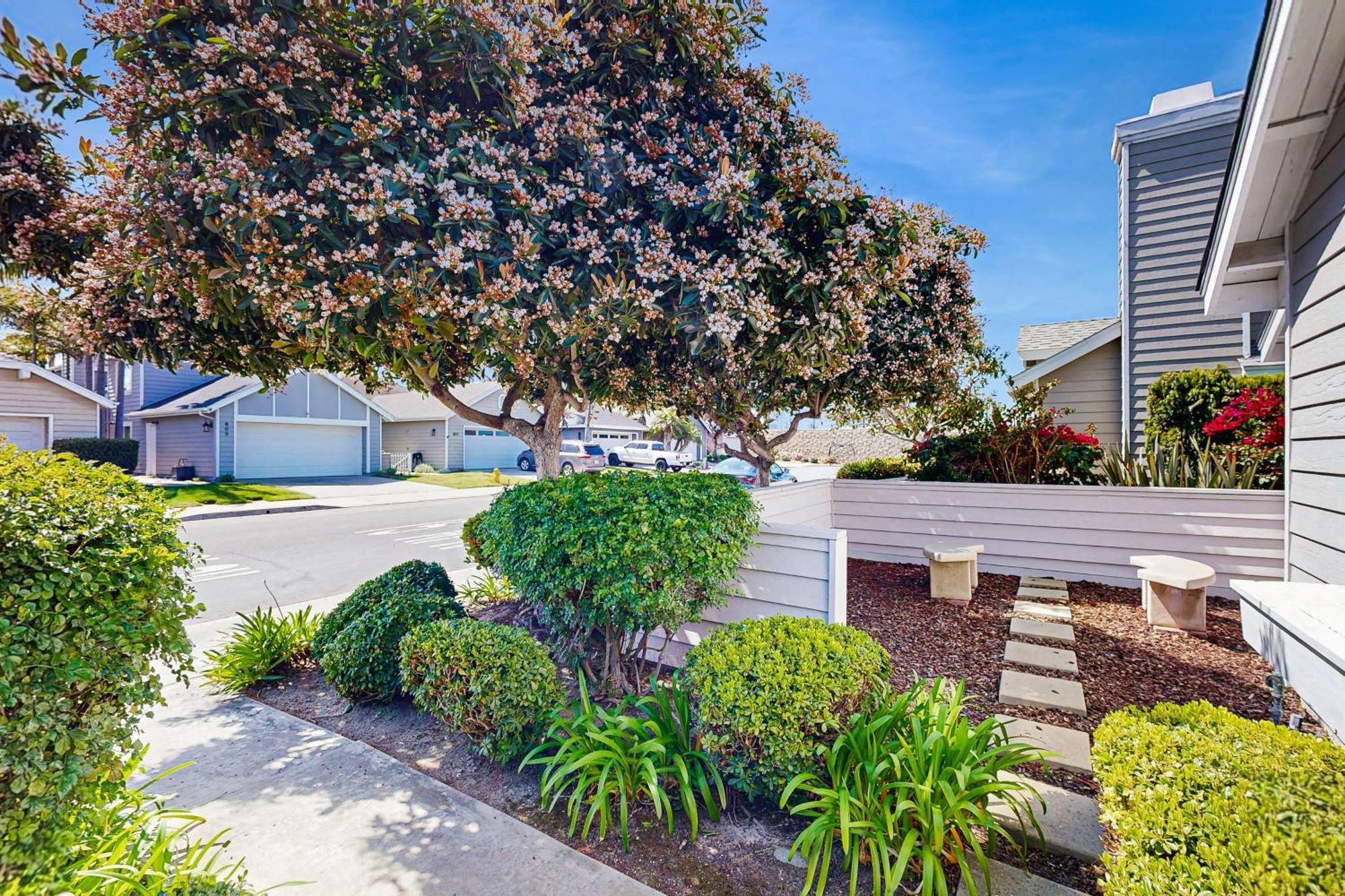 Bluewater Bliss Carlsbad