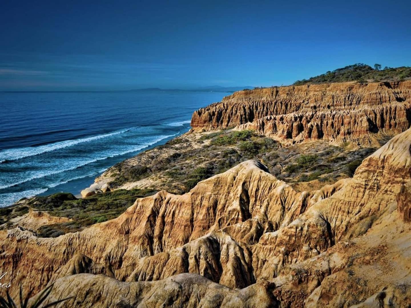 Holiday home Palm Grove Luxe King, Wet & Chefs Kitchen