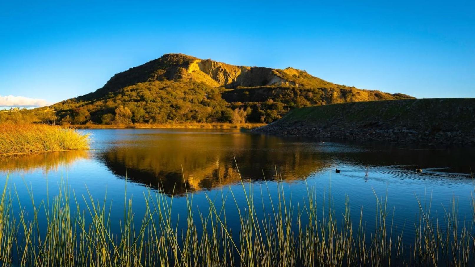 Palm Grove Luxe King, Wet & Chefs Kitchen * Carlsbad