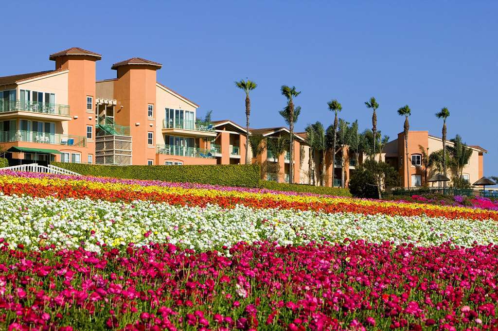 Resort Grand Pacific Palisades 3*