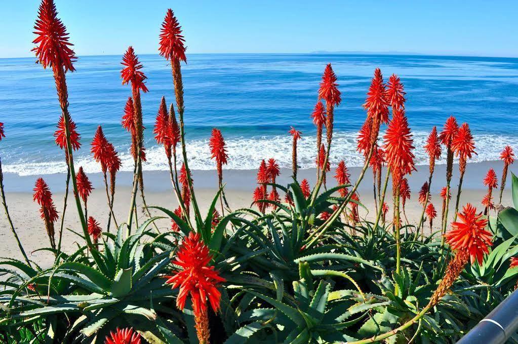 Ocean Palms Hotel Carlsbad