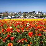 3690 Carlsbad Boulevard - Unit C