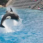 Holiday Inn Carlsbad/San Diego By Ihg