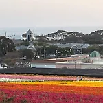 Palm Grove Luxe King, Wet Room & Chefs Kitchen