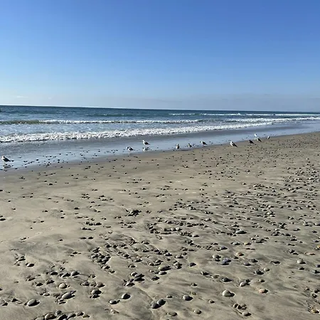 Resort Carlsbad/san Diego By Ihg Carlsbad