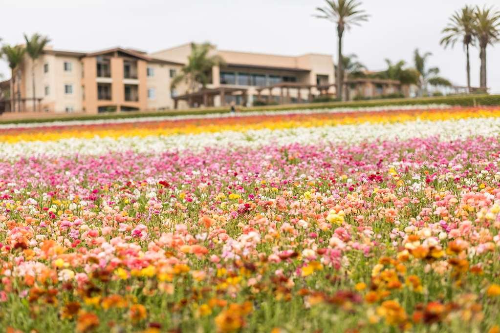 Grand Pacific Palisades Apartahotel 3*