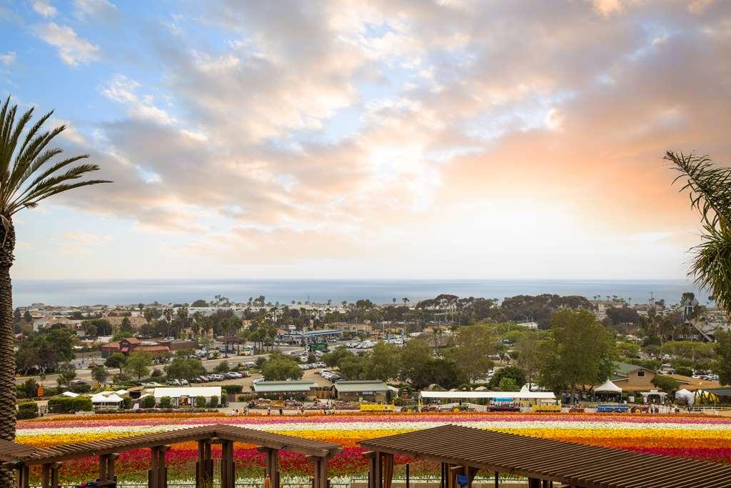 Apartahotel Grand Pacific Palisades Carlsbad