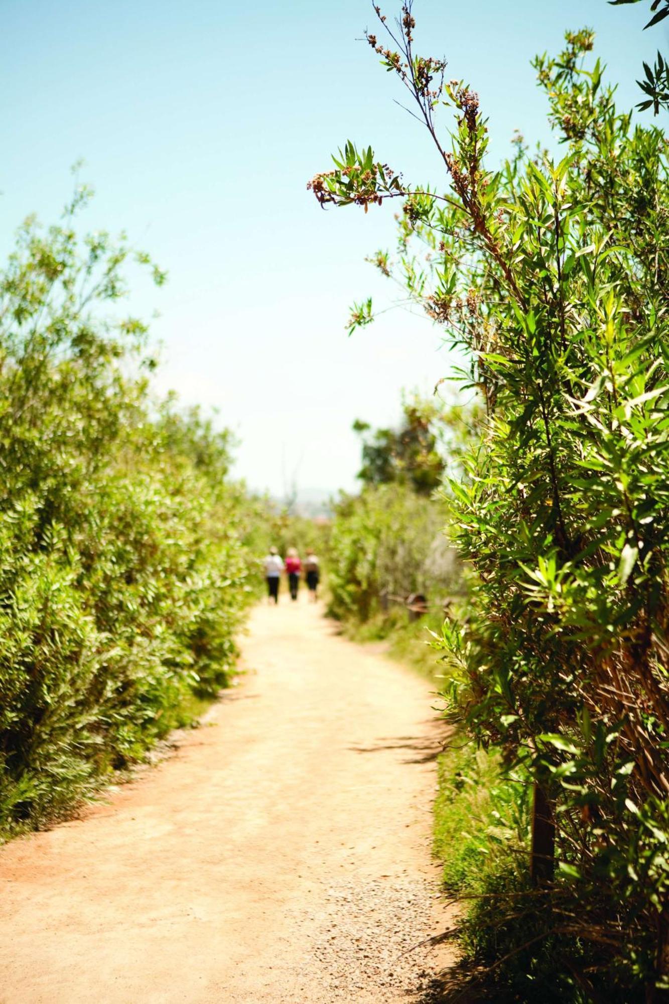 Park Hyatt Aviara Hotel