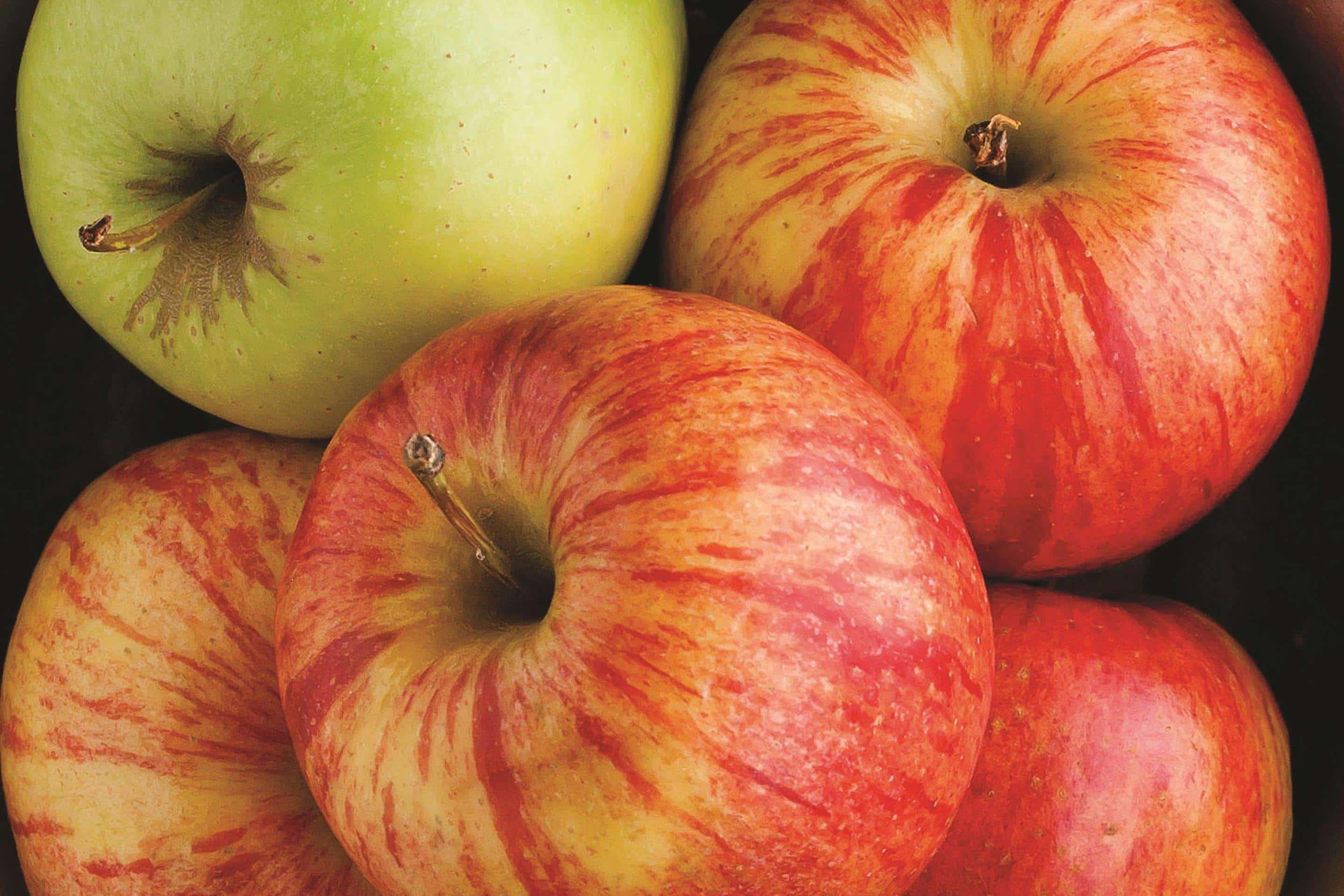 La Quinta By Wyndham - Legoland Area Hotel Carlsbad