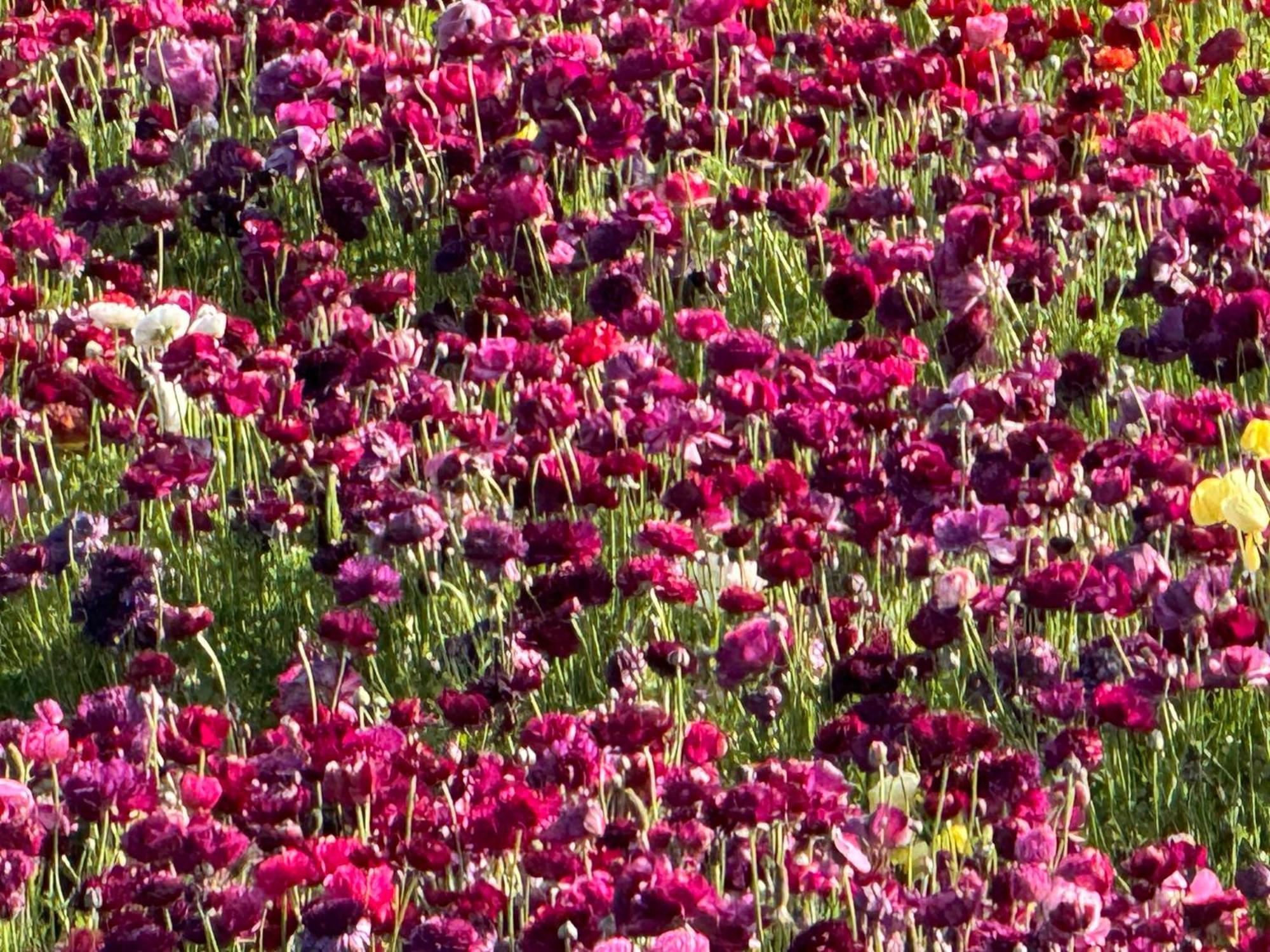 Express & By Ihg Hotel