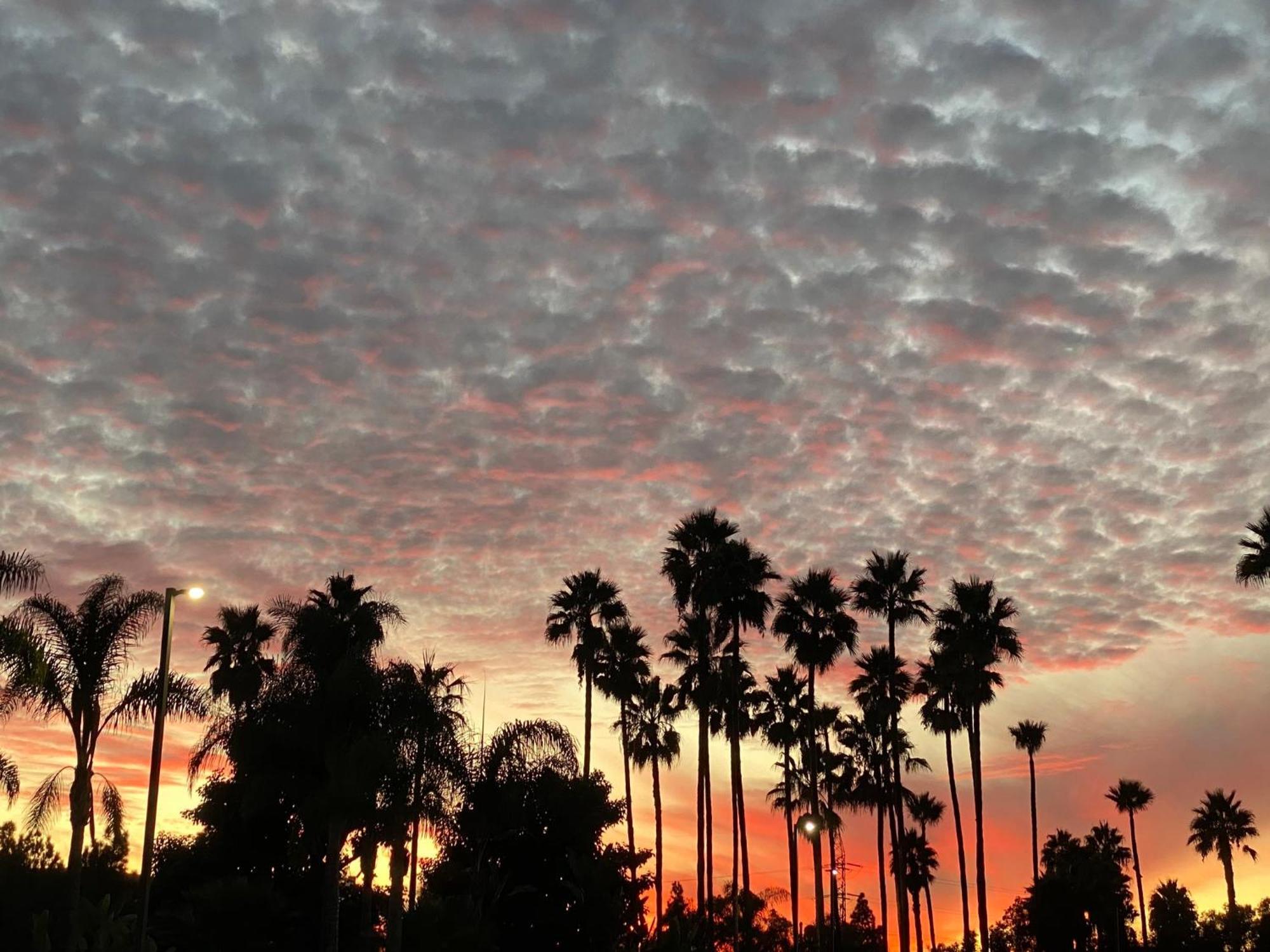 Express & By Ihg Hotel 3*