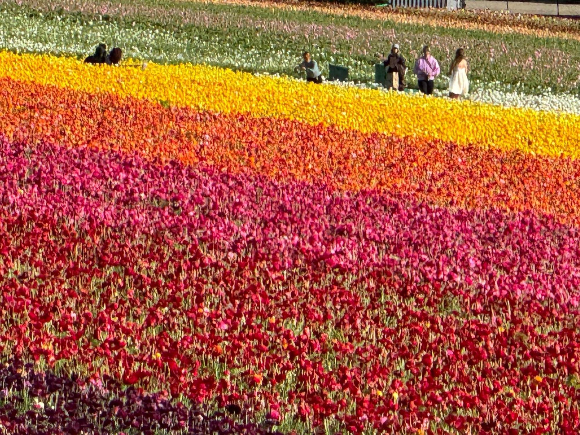 Express & By Ihg Hotel Carlsbad