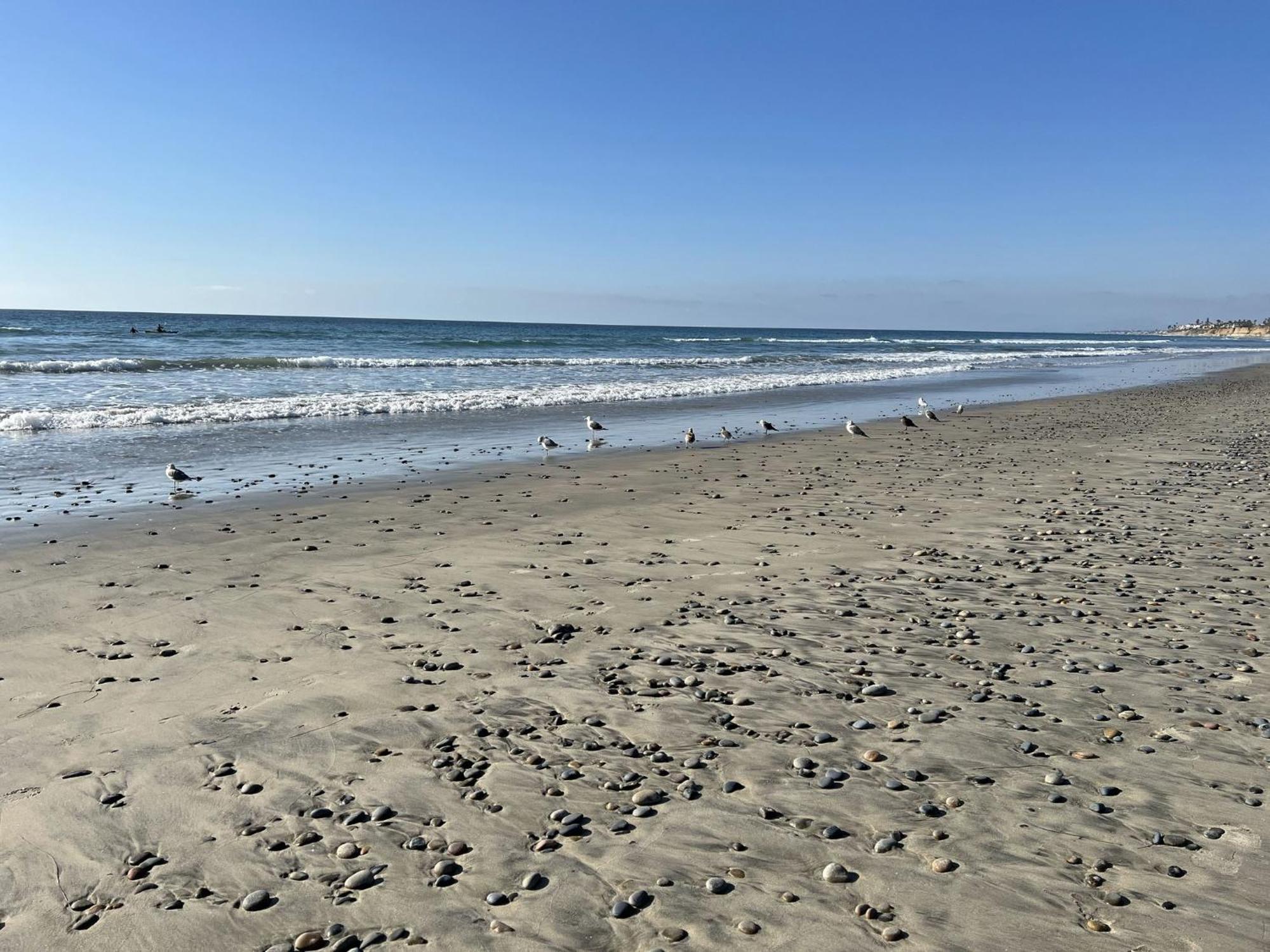 Resort Carlsbad/san Diego By Ihg Carlsbad