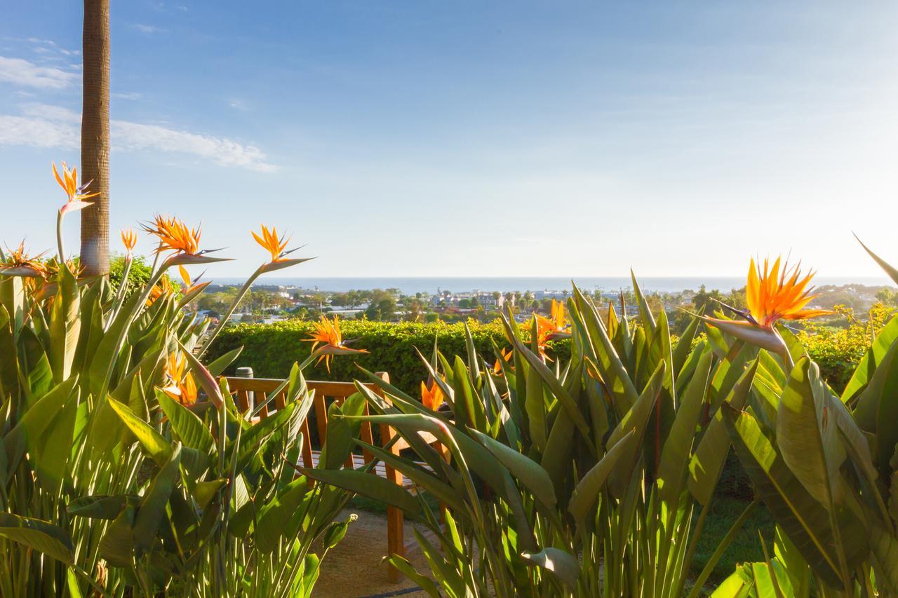 Grand Pacific Palisades Apartahotel Carlsbad