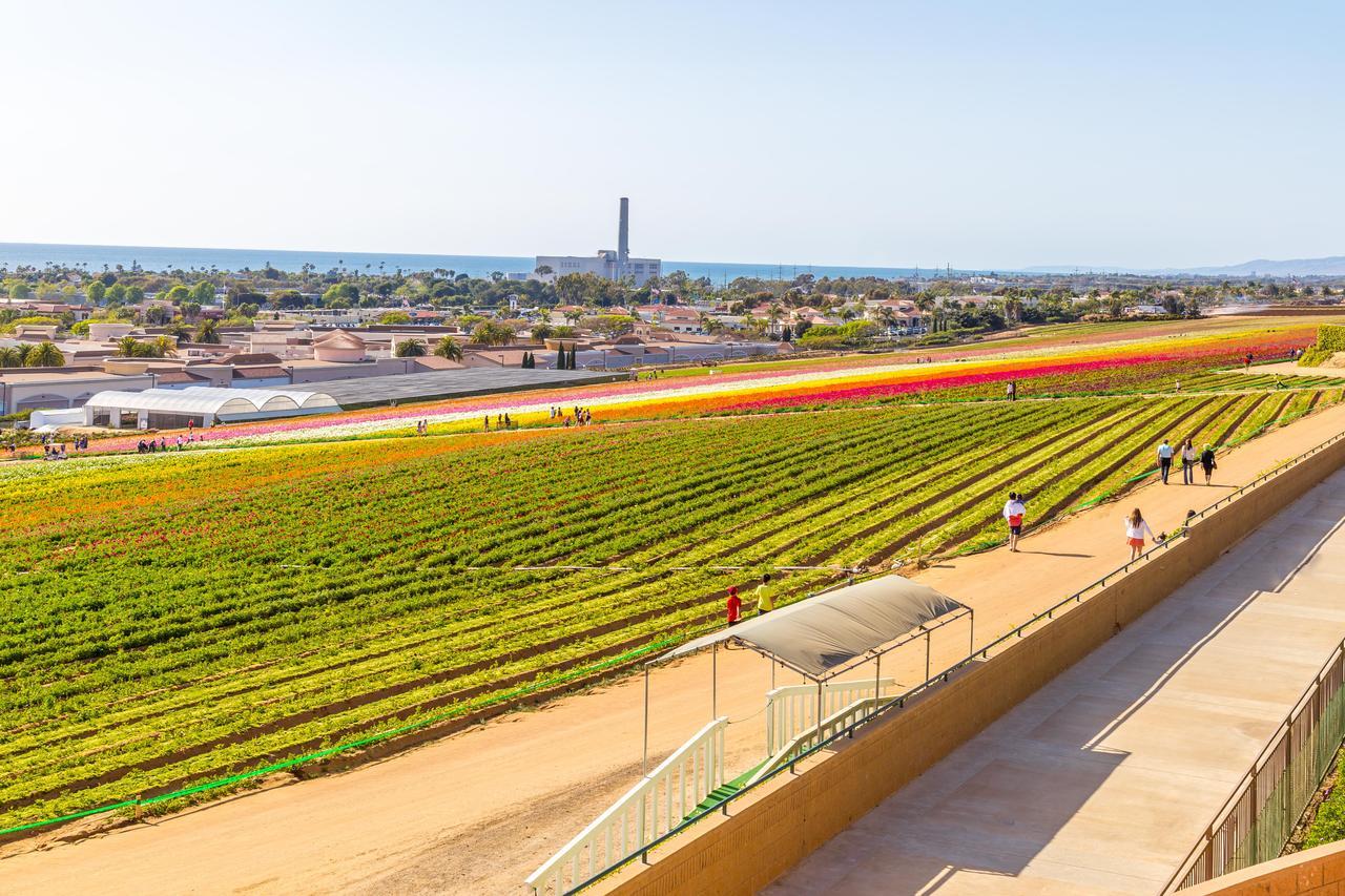 Aparthotel Grand Pacific Palisades